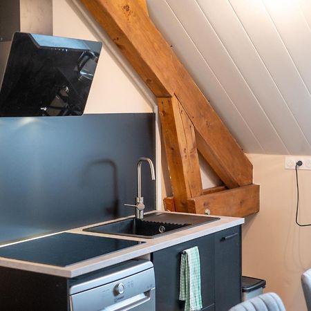 Appartement Balneo-Detente Sainte-Helene-du-Lac Eksteriør billede